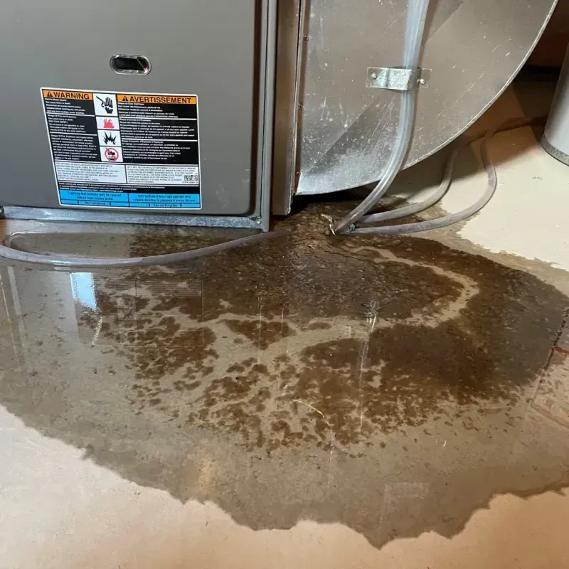 Appliance Leak Cleanup in La Grange, KY